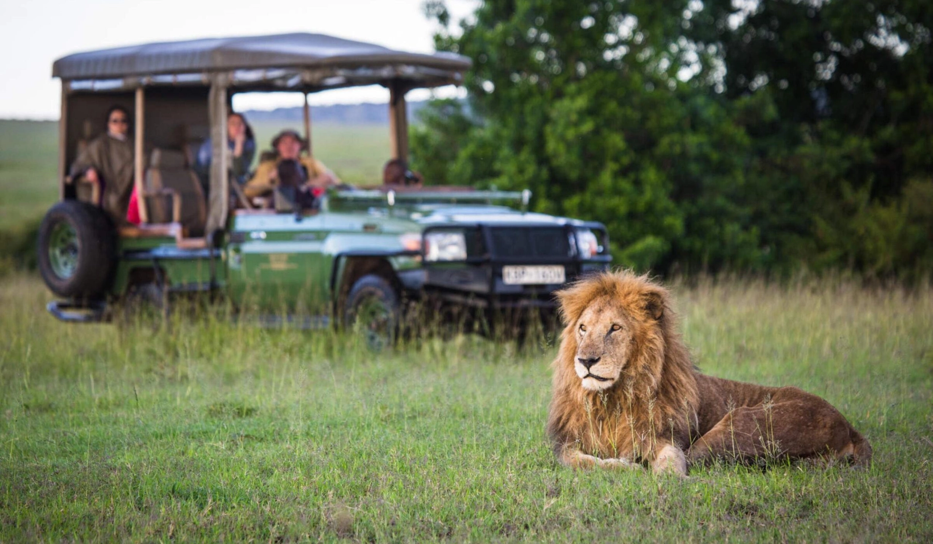 Game-Drive-near-Mara-Plains-2400x1400-f50_50